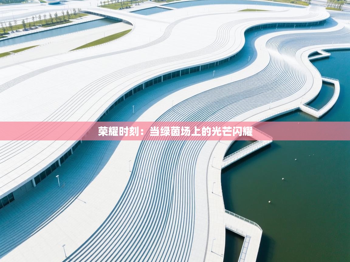 荣耀时刻:当绿茵场上的光芒闪耀 第2张